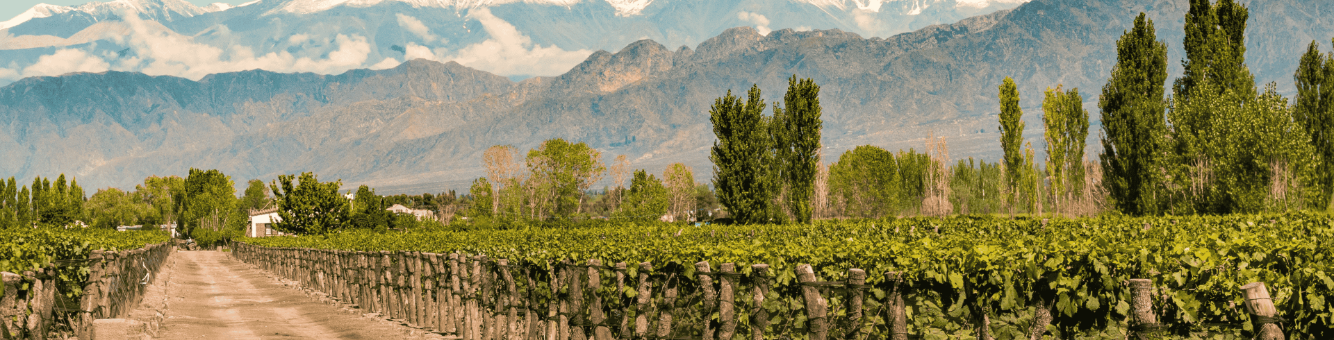 Mendoza - Reveillon 2025